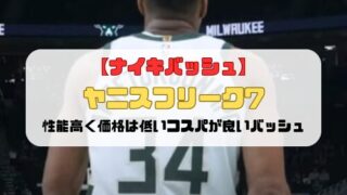 【ナイキバッシュ】ヤニスフリーク7の紹介「性能高く価格は低いコスパが良いバッシュ」