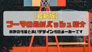 【最新版】プーマの最新バッシュ紹介「抜群の性能と高いデザイン性のメーカーです」