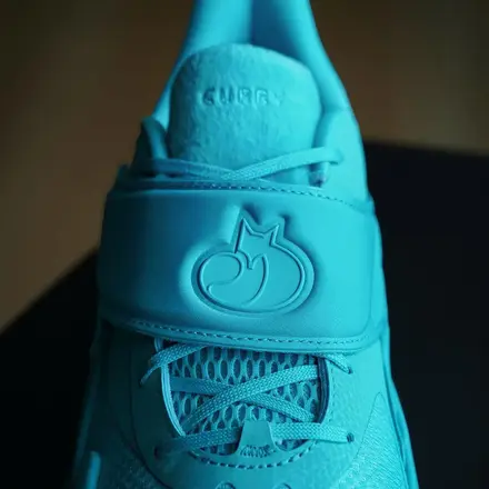 curry-fox-2-3