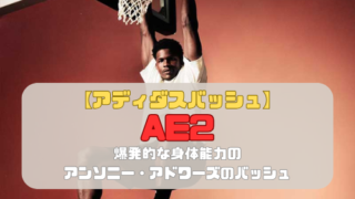 【アディダスバッシュ】AE2の紹介「爆発的な身体能力のアンソニー・アドワーズのバッシュ」