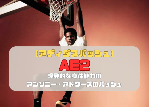 【アディダスバッシュ】AE2の紹介「爆発的な身体能力のアンソニー・アドワーズのバッシュ」