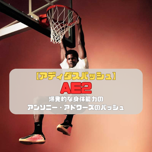 【アディダスバッシュ】AE2の紹介「爆発的な身体能力のアンソニー・アドワーズのバッシュ」