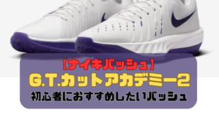【ナイキバッシュ】G.T.カットアカデミー2の紹介「初心者におすすめしたいバッシュ」