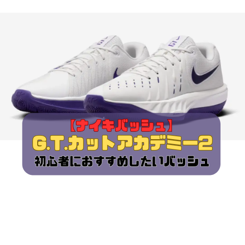 【ナイキバッシュ】G.T.カットアカデミー2の紹介「初心者におすすめしたいバッシュ」