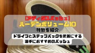 【アディダスバッシュ】ハーデンボリューム10の特徴を紹介！ドライブとステップバックを武器にする選手におすすめのバッシュ
