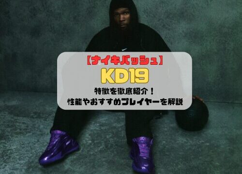 【ナイキバッシュ】KD19の特徴を徹底紹介！性能やおすすめプレイヤーを解説