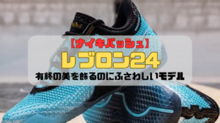 【ナイキバッシュ】レブロン24の紹介「有終の美を飾るのにふさわしいモデル」